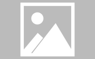 郯城网站建设书单（网站设计书模板）